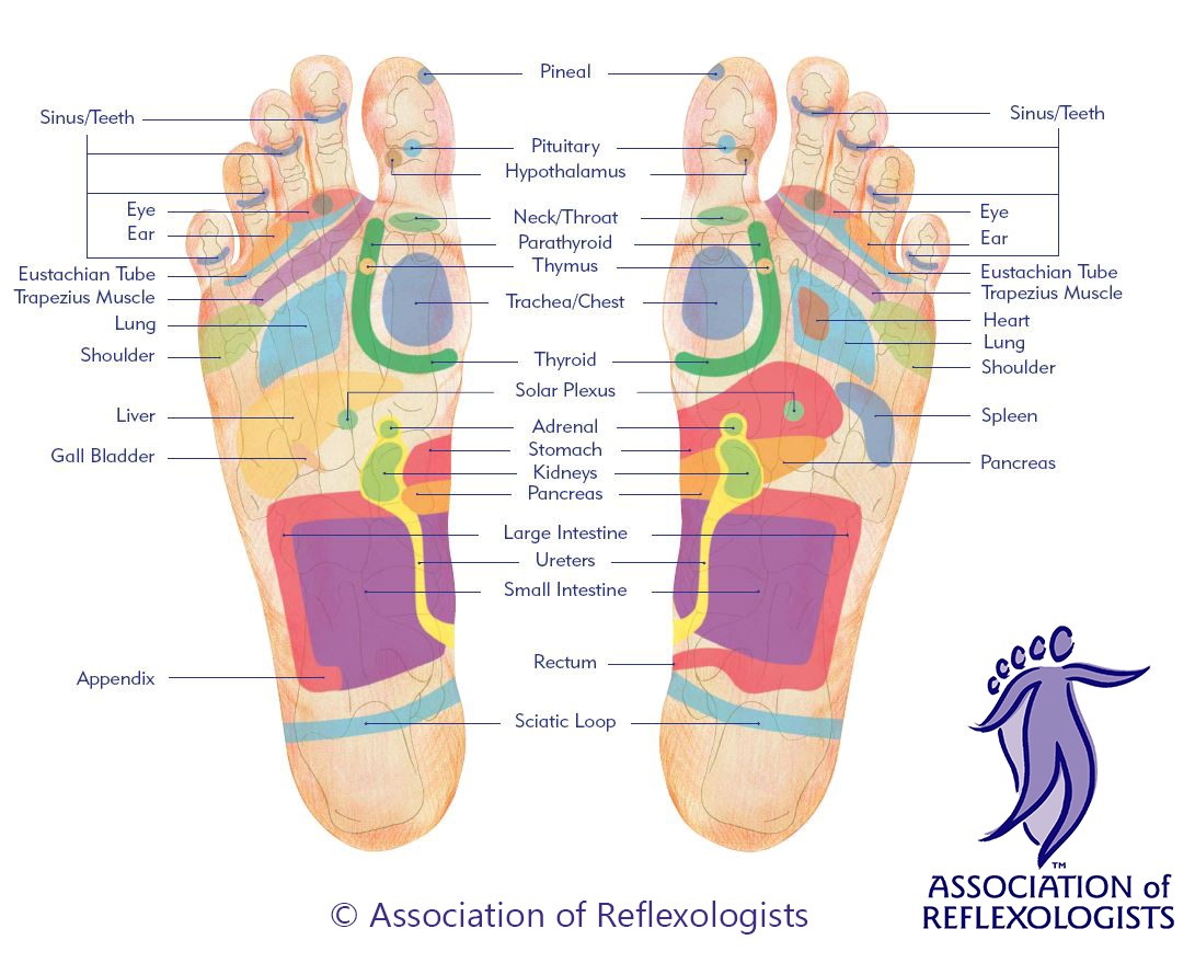 feet map reflexology